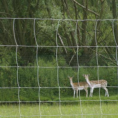 File:Field Fence Netting.jpg