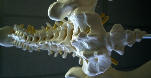File:Chiropractic austin-jurvetson-600x4731-resized.jpg