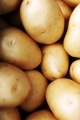 Thumbnail for version as of 22:36, 24 August 2010