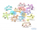 TouchGraph of Wikipedia Review contributors.jpg