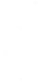 Riff 81 Big.gif