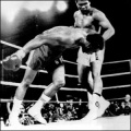 Rumble in the jungle.jpg