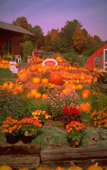 File:New Hampshire.jpg