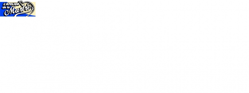 File:LogoADLM.JPG