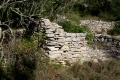 Croatia Rasohatica .jpg
