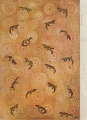 Thumbnail for version as of 07:30, 14 June 2010