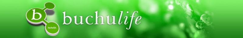 File:Buchu header.jpg