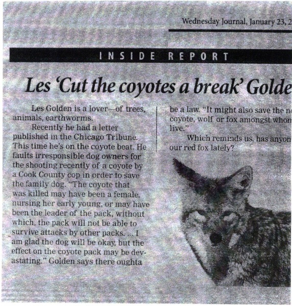File:LesGoldenSaveCoyotes.jpg