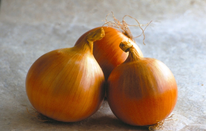 File:Onion.jpg