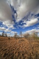Thumbnail for version as of 23:31, 10 May 2011