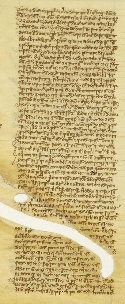 File:Q.13 p.49va-small.jpg