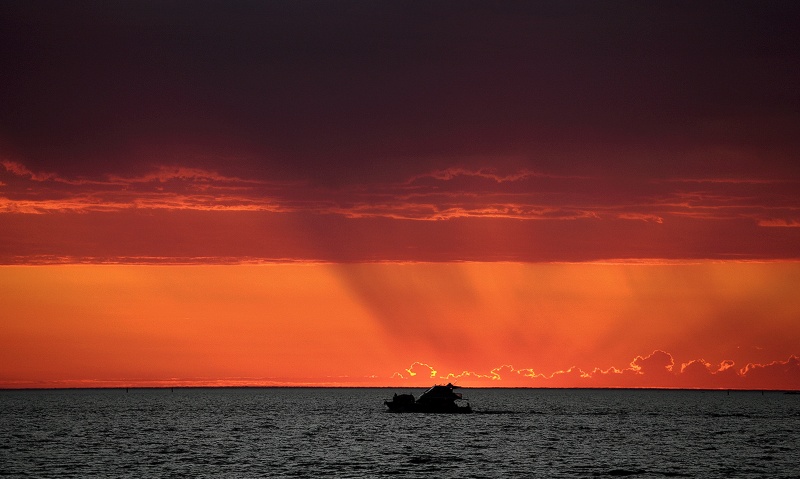 File:Coming Home.jpg