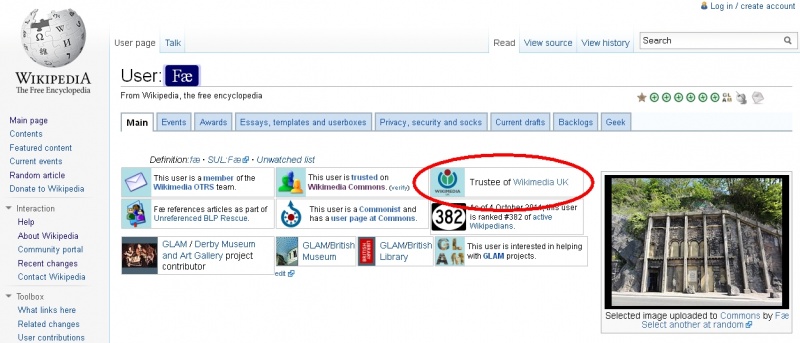 File:User Fae is WMUK trustee.jpg