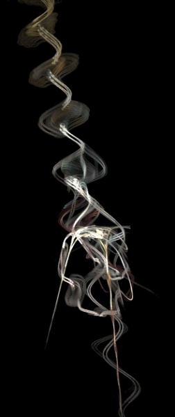 File:Apophysis 090508 by Wikademia.jpg