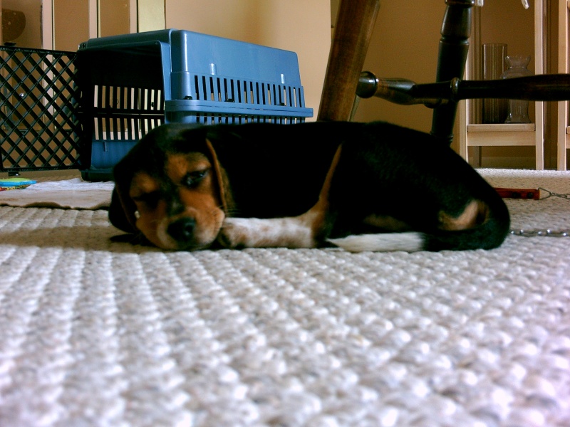 File:Cady-Snooze-Left.JPG