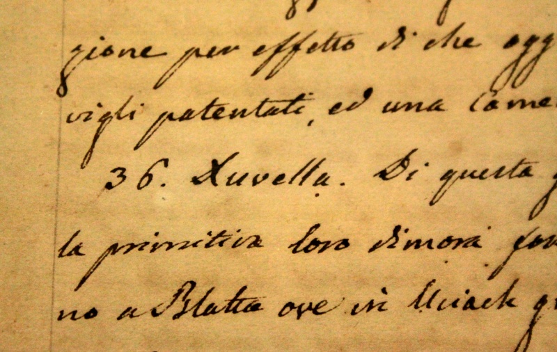 File:Book-Ostojic.jpg